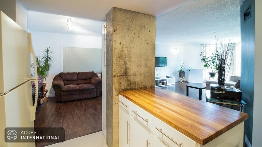 Beautiful condo for rent furnished and equipped Nuns  Island