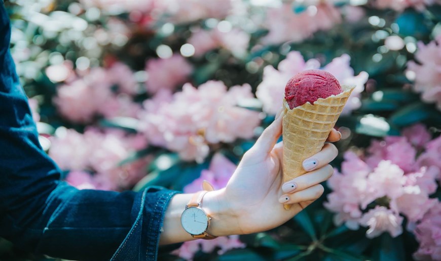 Find Montreal’s best ice cream parlors